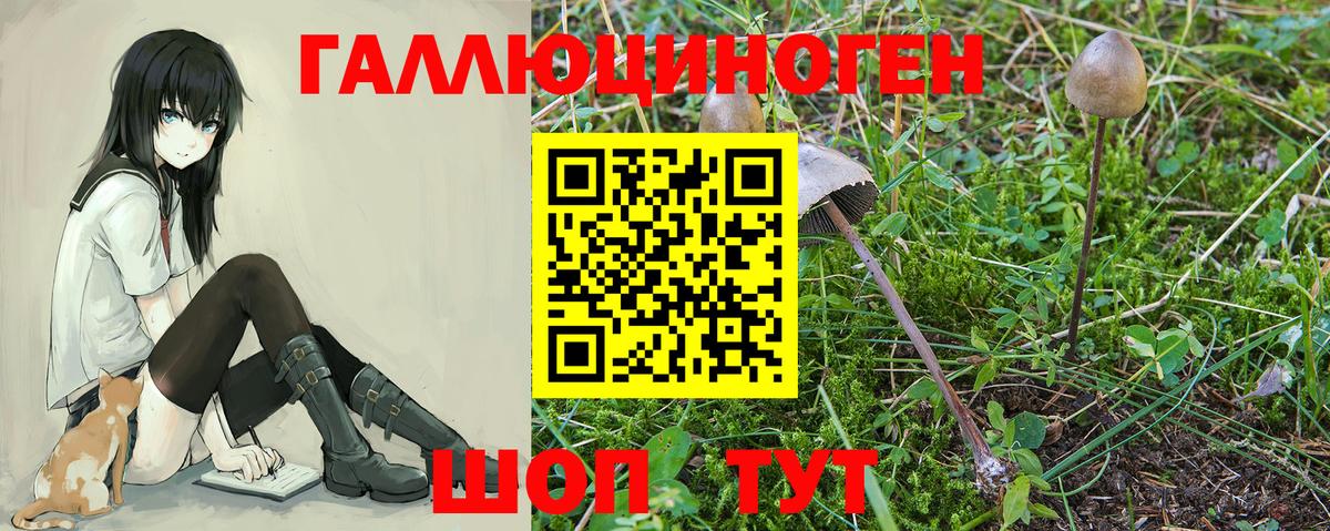 наркошоп  Галлюциногенные грибы MAGIC MUSHROOMS  Рубцовск  Вход с VPN  Псилоцибиновые грибы Cubensis 